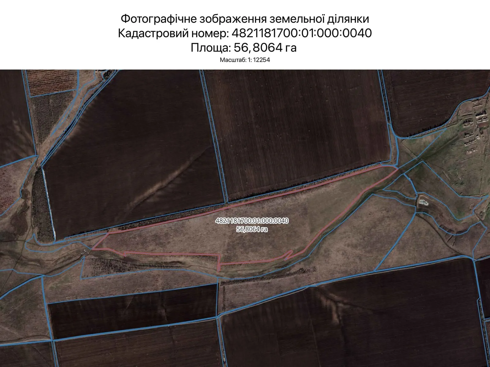 Сдается в аренду земельный участок 56.8064 соток в Николаевской области, цена: 149437 грн - фото 1