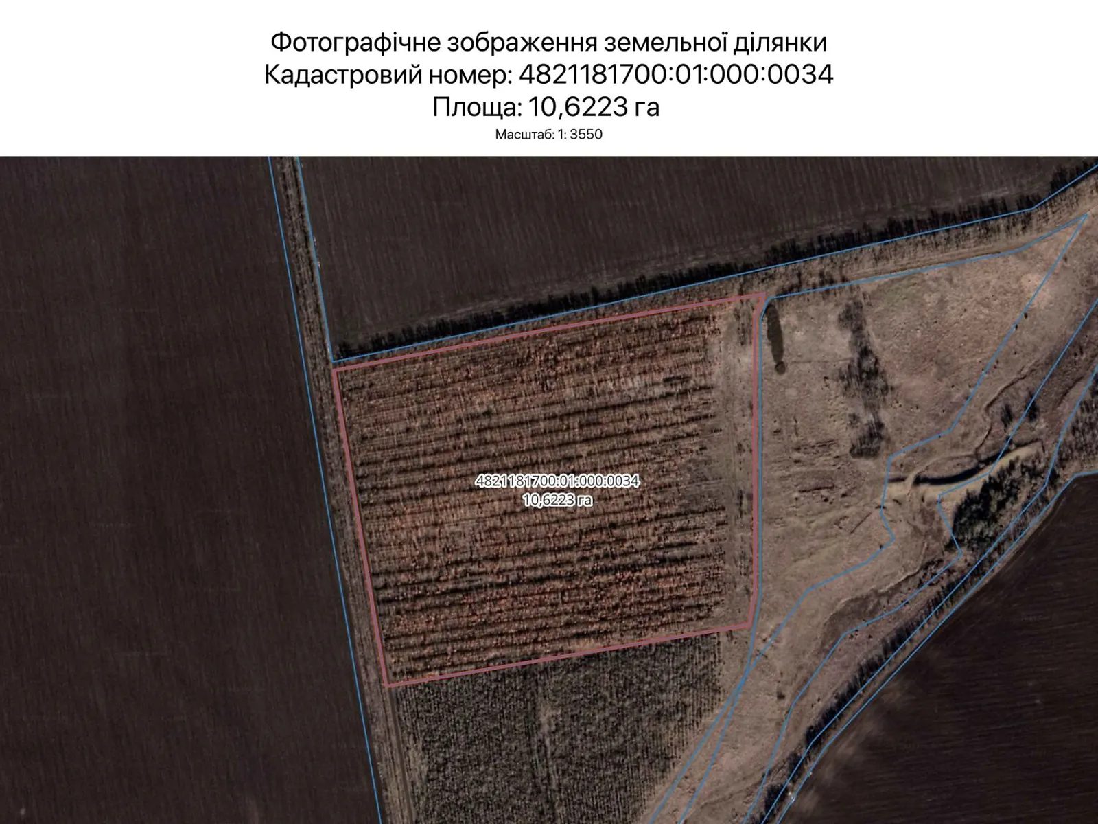Сдается в аренду земельный участок 10.6223 соток в Николаевской области, цена: 31371 грн - фото 1