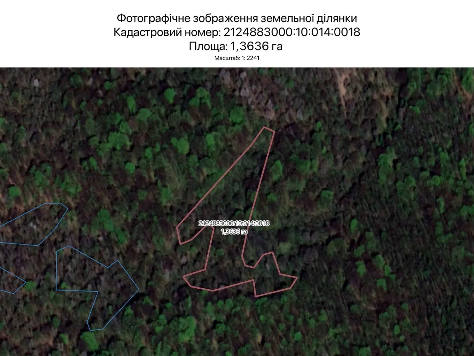 Сдается в аренду земельный участок 1.3636 соток в Закарпатской области, цена: 837 грн - фото 1
