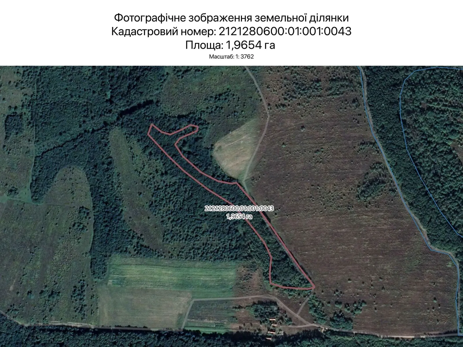 Сдается в аренду земельный участок 1.9654 соток в Закарпатской области, цена: 6069 грн - фото 1