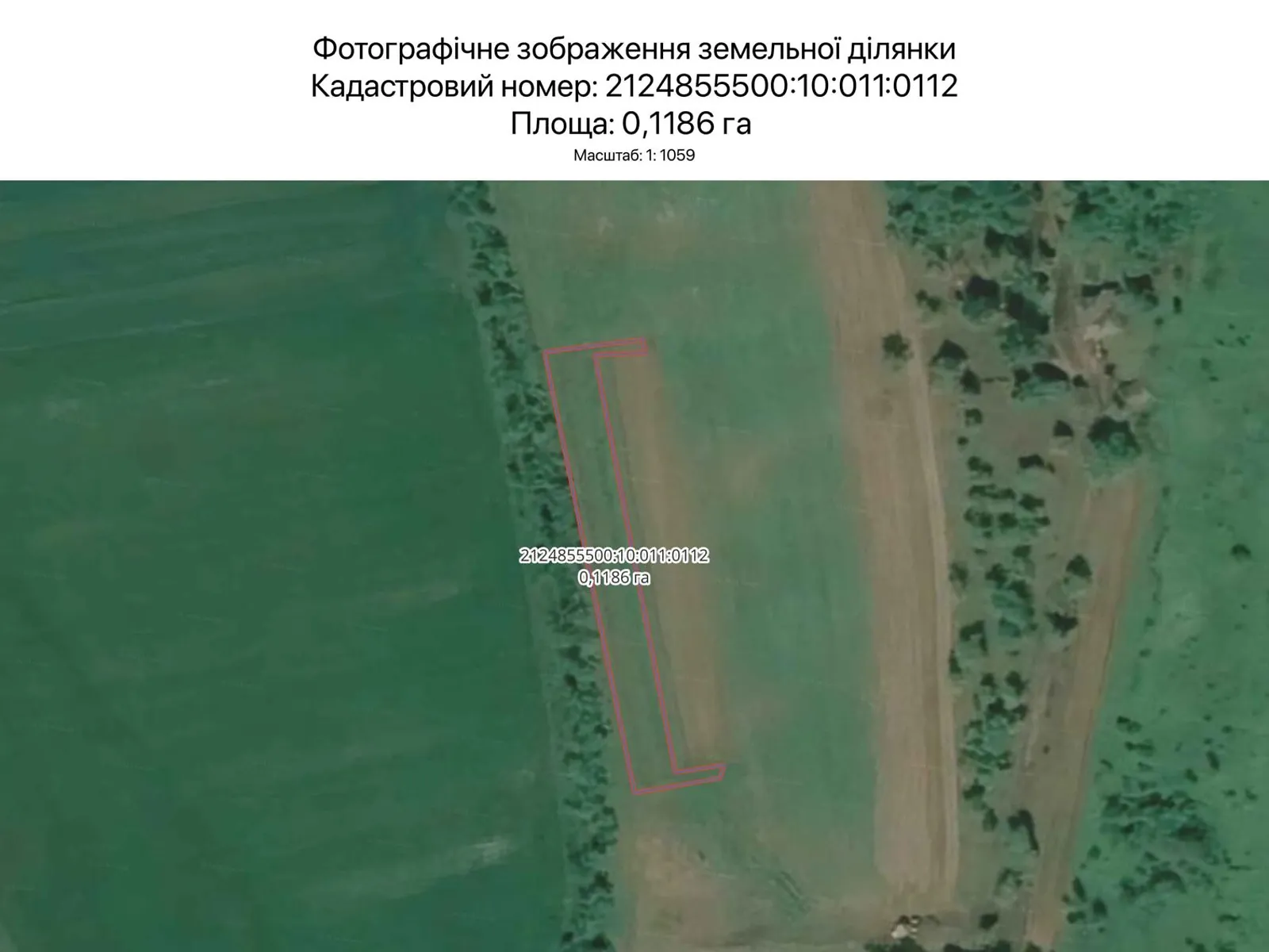 Сдается в аренду земельный участок 0.1186 соток в Закарпатской области, цена: 258 грн - фото 1