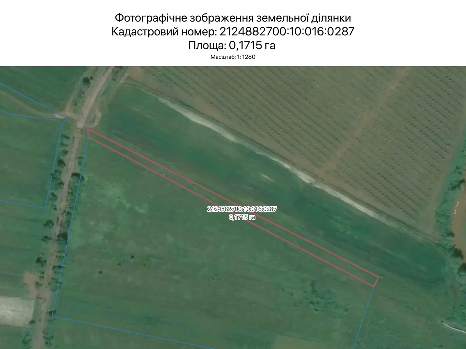 Сдается в аренду земельный участок 0.1715 соток в Закарпатской области, цена: 474 грн - фото 1