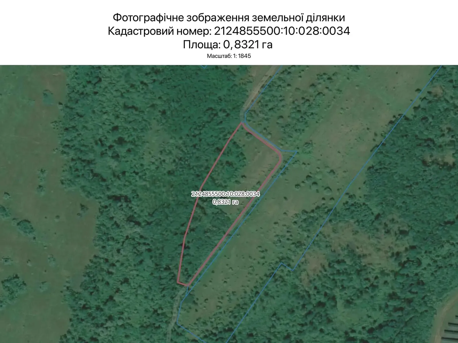 Сдается в аренду земельный участок 0.8321 соток в Закарпатской области, цена: 526 грн - фото 1