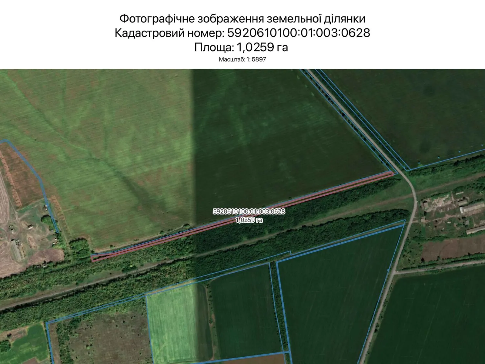Сдается в аренду земельный участок 1.0259 соток в Сумской области, цена: 4177 грн - фото 1