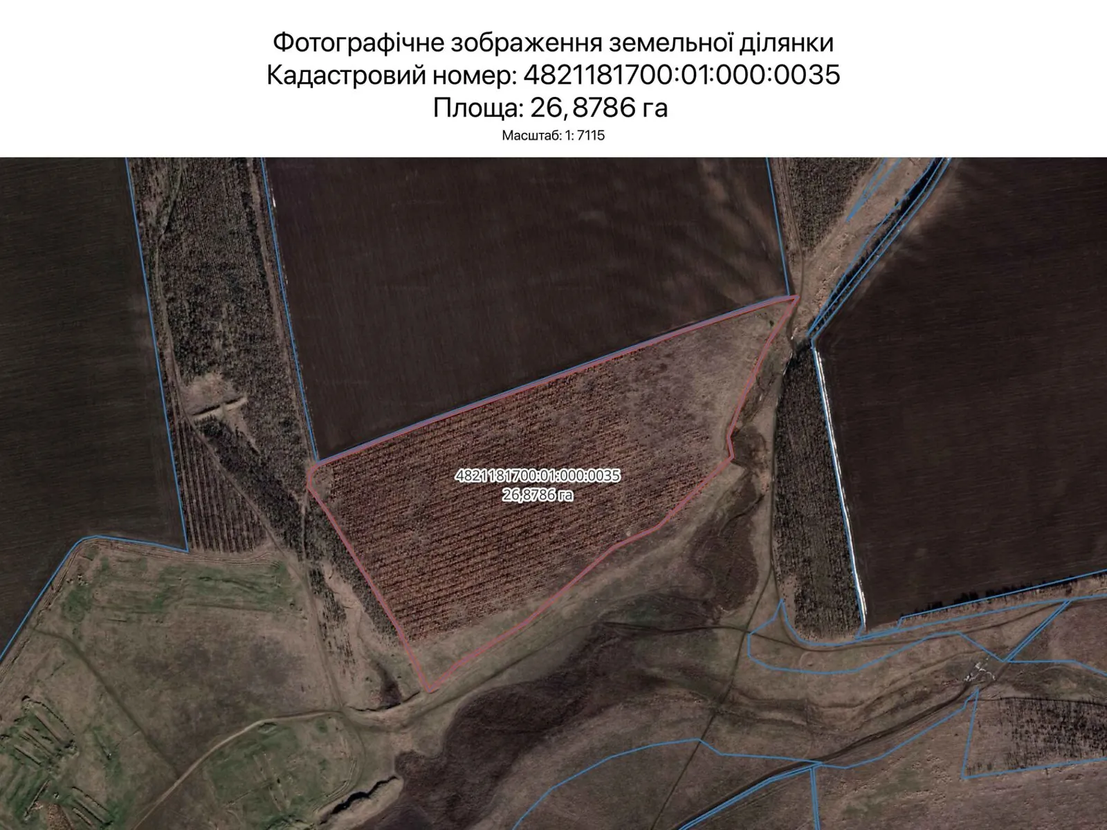 Сдается в аренду земельный участок 26.8786 соток в Николаевской области, цена: 71755 грн - фото 1