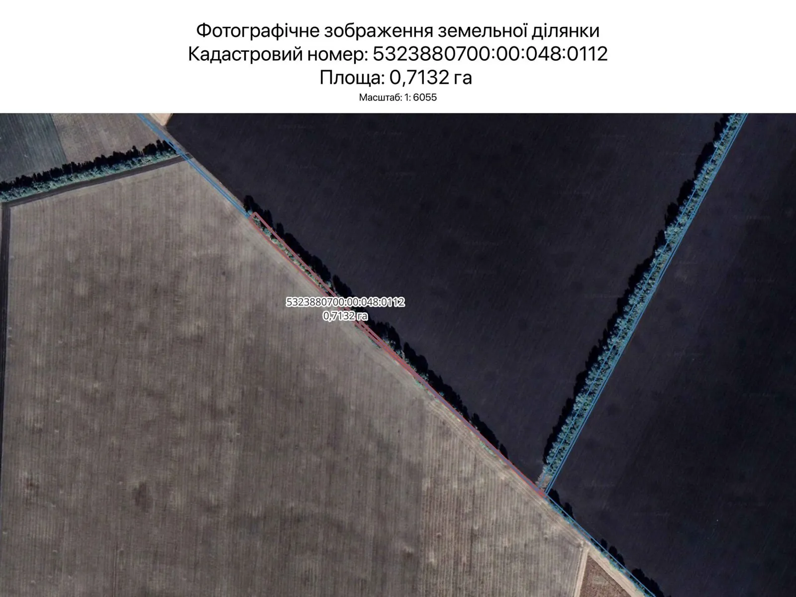 Сдается в аренду земельный участок 0.7132 соток в Полтавской области, цена: 3581 грн - фото 1