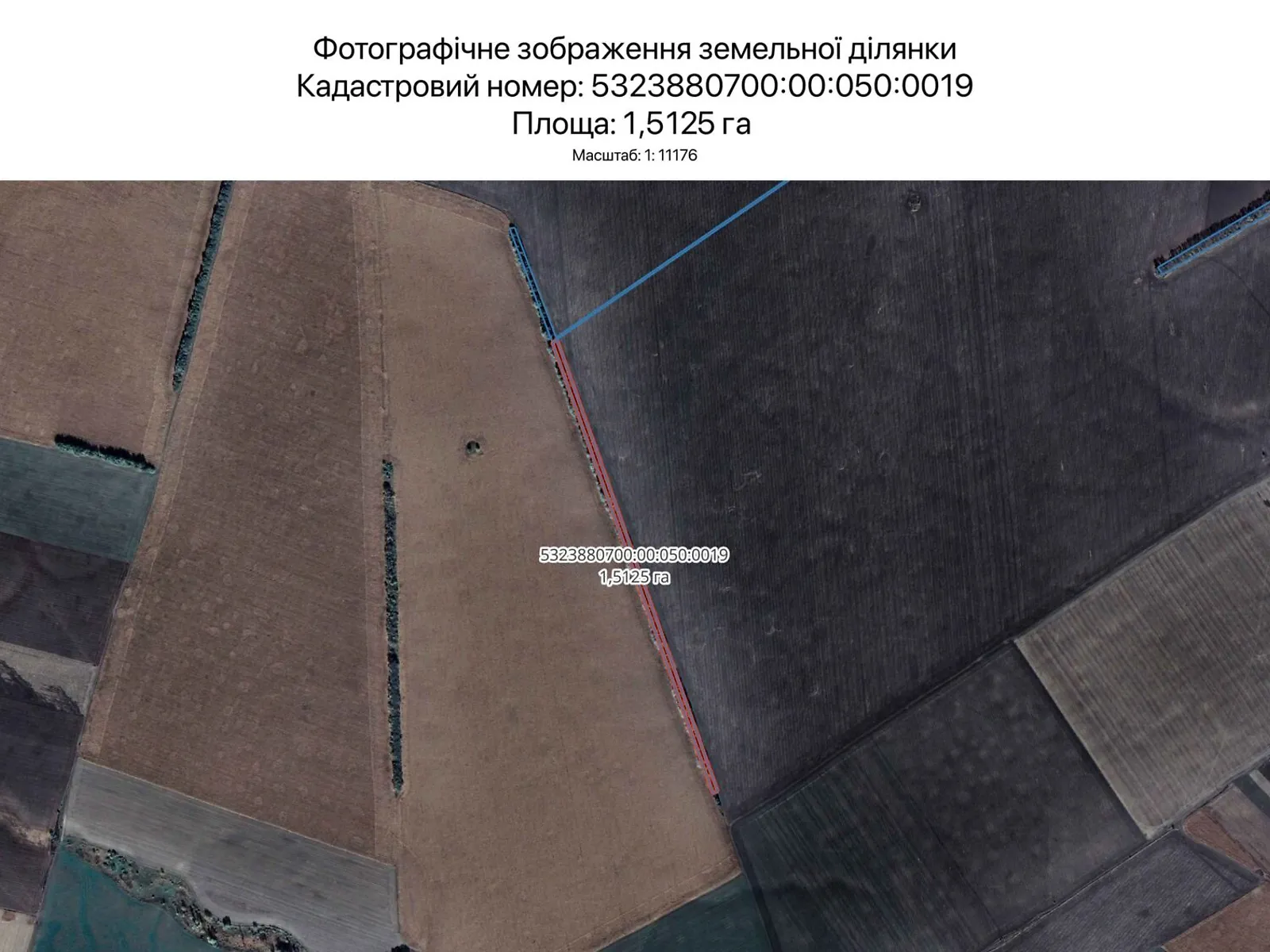 Сдается в аренду земельный участок 1.5125 соток в Полтавской области, цена: 7595 грн - фото 1