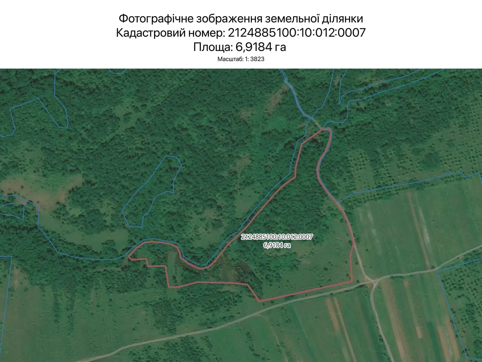 Сдается в аренду земельный участок 6.9184 соток в Закарпатской области, цена: 26647 грн - фото 1