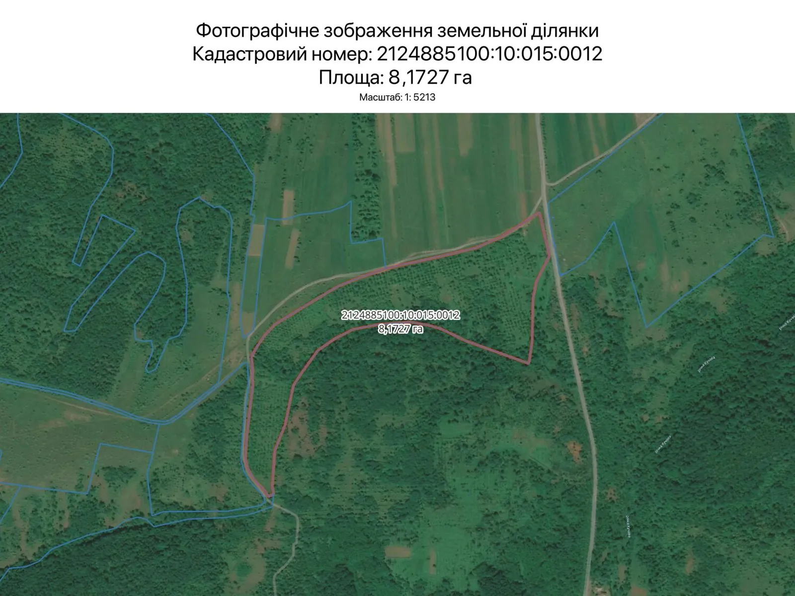 Сдается в аренду земельный участок 8.1727 соток в Закарпатской области, цена: 31478 грн - фото 1