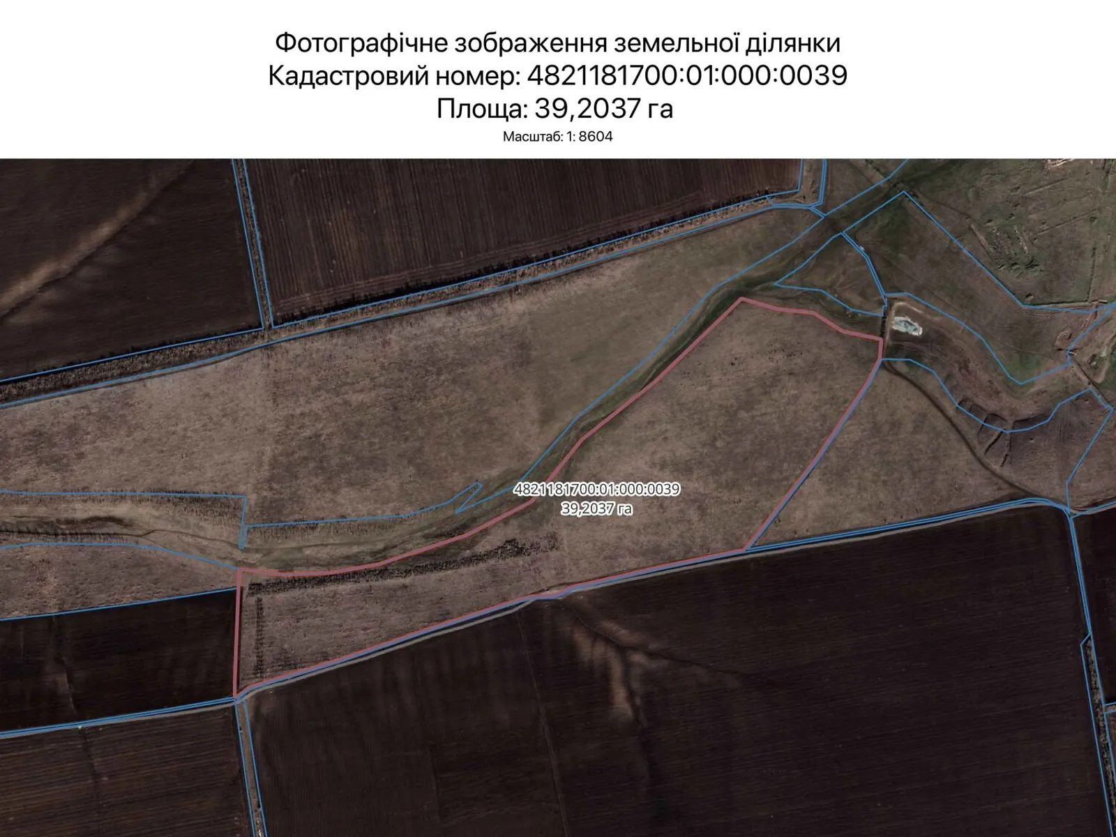 Сдается в аренду земельный участок 39.2037 соток в  области, цена: 96248 грн - фото 1