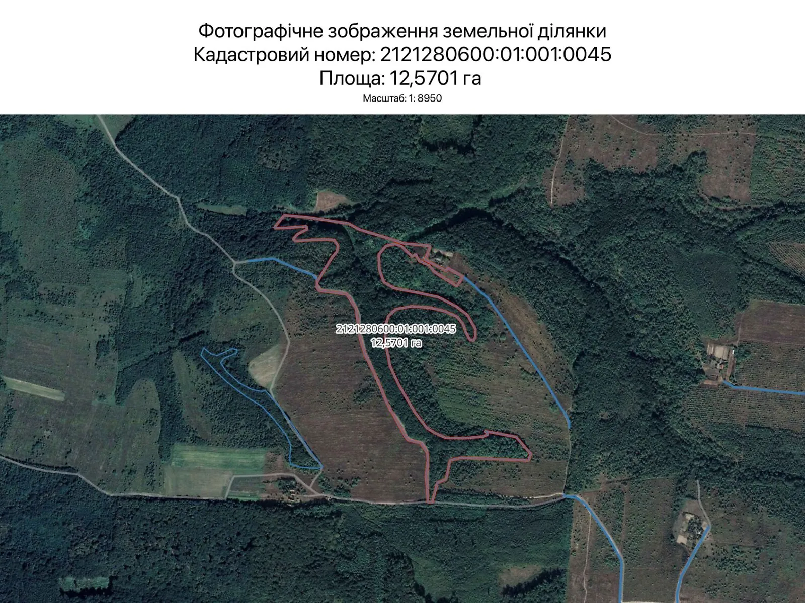 Сдается в аренду земельный участок 12.5701 соток в Закарпатской области, цена: 37587 грн - фото 1