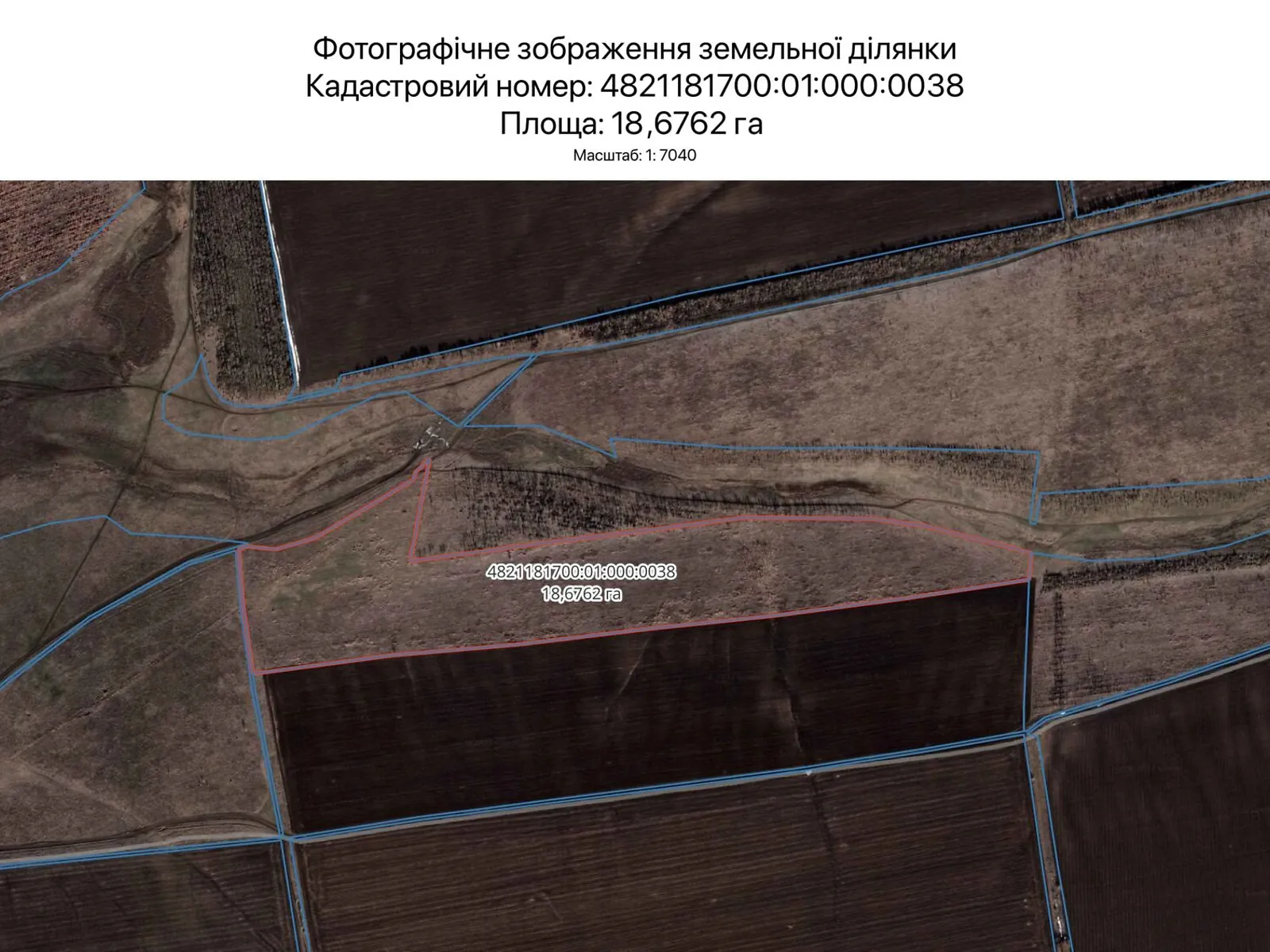 Сдается в аренду земельный участок 18.6762 соток в Николаевской области, цена: 38380 грн - фото 1