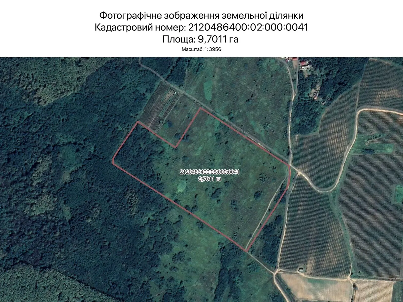 Сдается в аренду земельный участок 9.7011 соток в Закарпатской области, цена: 31772 грн - фото 1