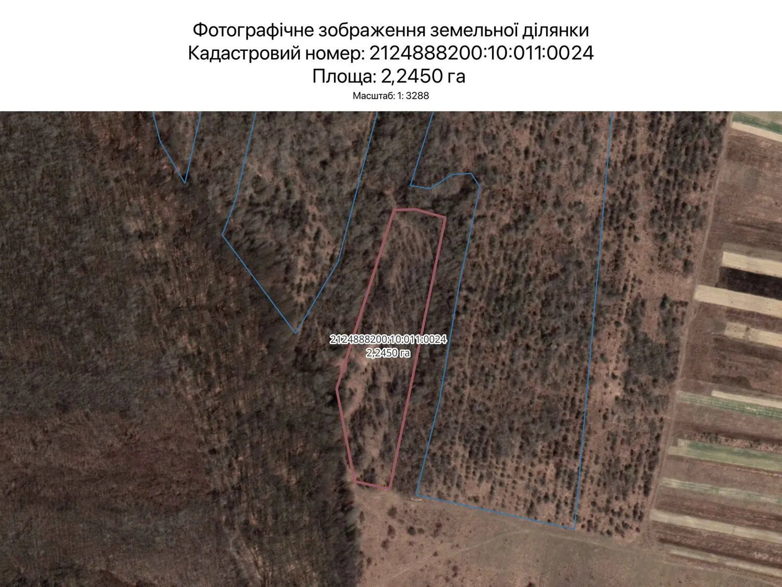 Сдается в аренду земельный участок 2.245 соток в Закарпатской области, цена: 895 грн - фото 1