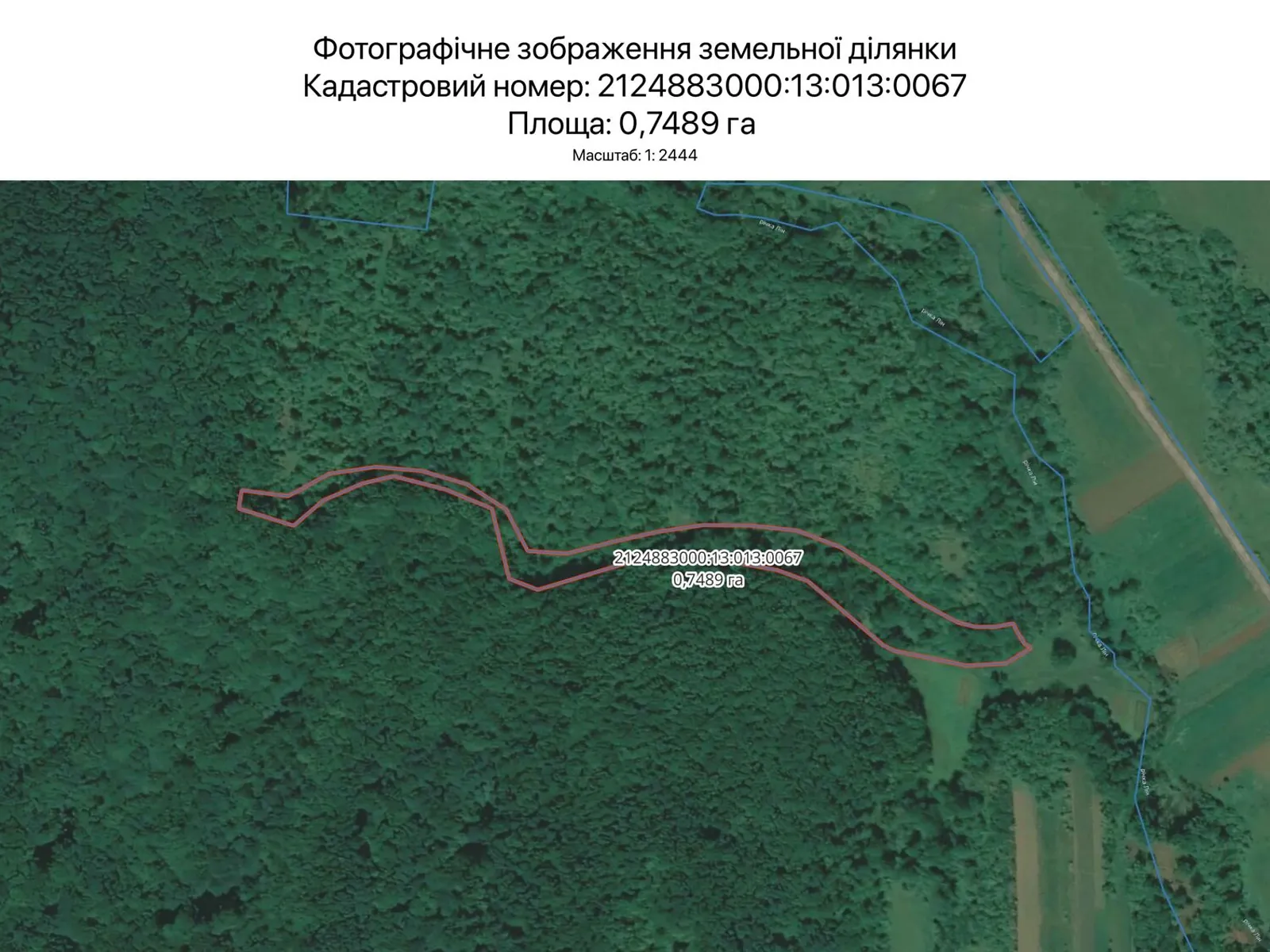 Сдается в аренду земельный участок 0.7489 соток в Закарпатской области, цена: 2313 грн - фото 1