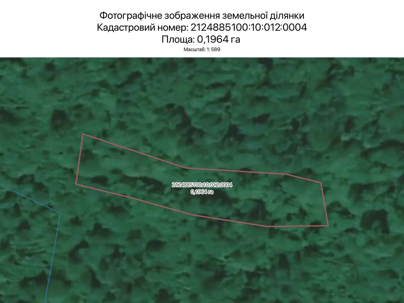Сдается в аренду земельный участок 0.1964 соток в Закарпатской области, цена: 756 грн - фото 1
