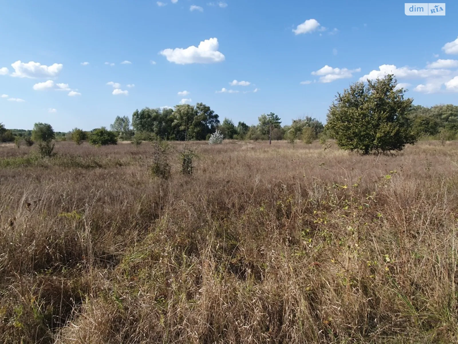 Погребы (Бровары), цена: 100000 $ - фото 1