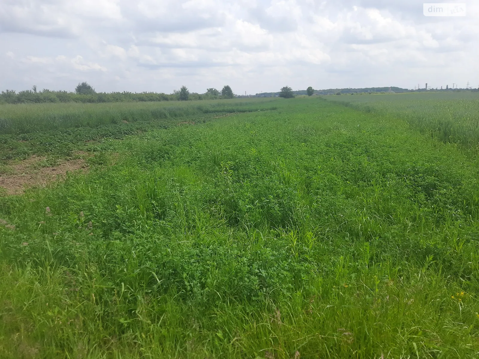 Продається земельна ділянка 9 соток у Закарпатській області, цена: 34000 $ - фото 1