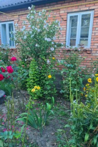 Продажа дома, Винницкая, Станиславчик, Вишнева