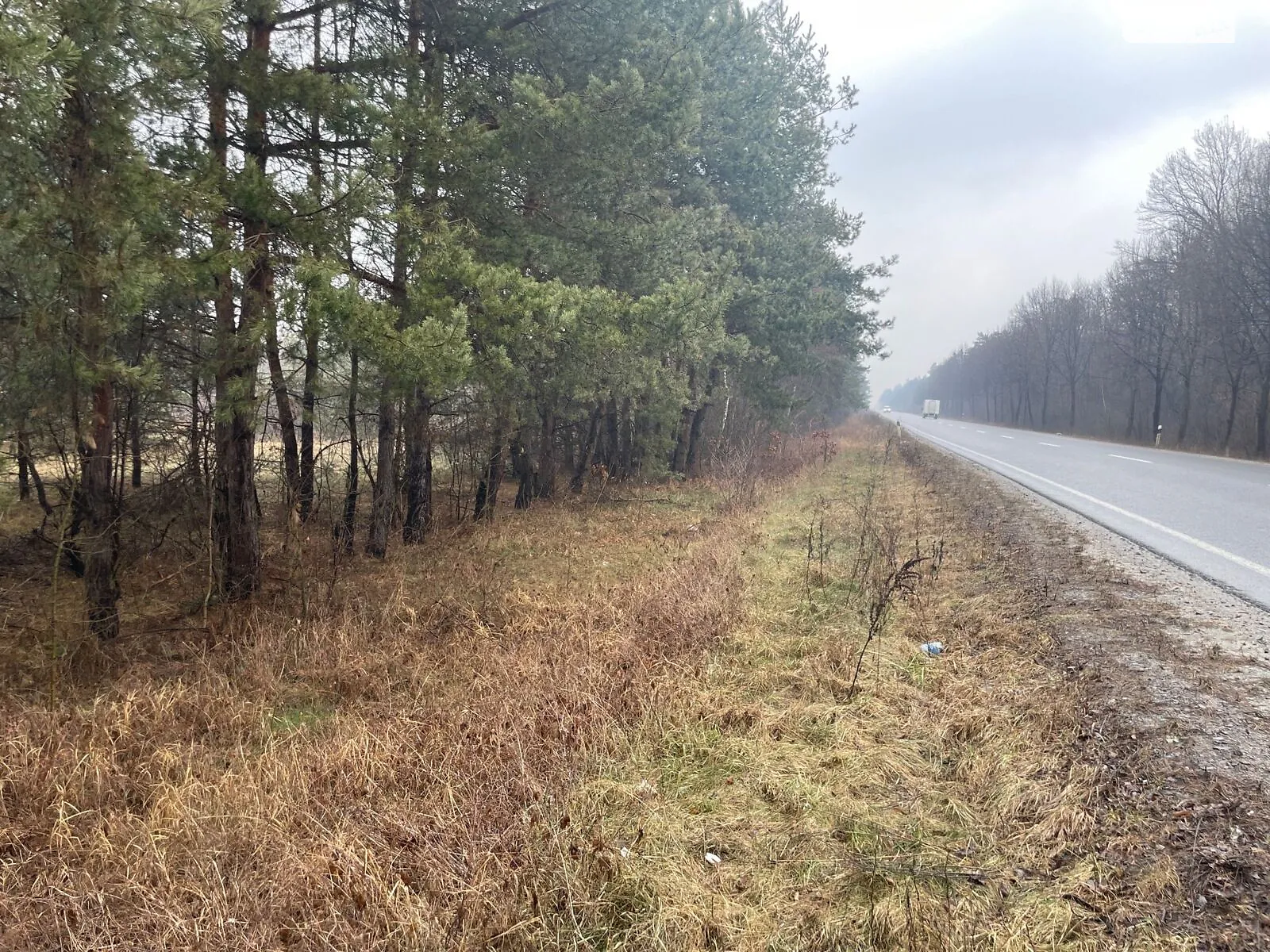 Туринка, цена: 1156000 грн - фото 1