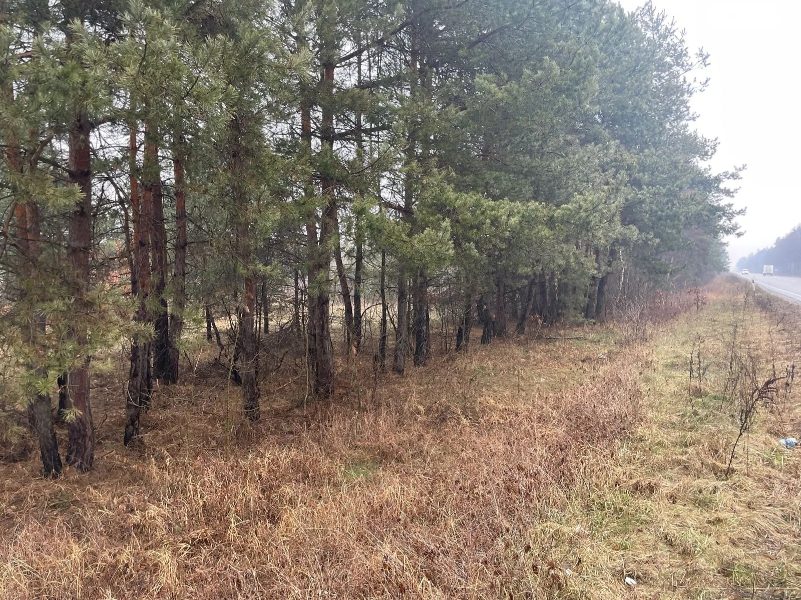 Туринка, цена: 1156000 грн - фото 1