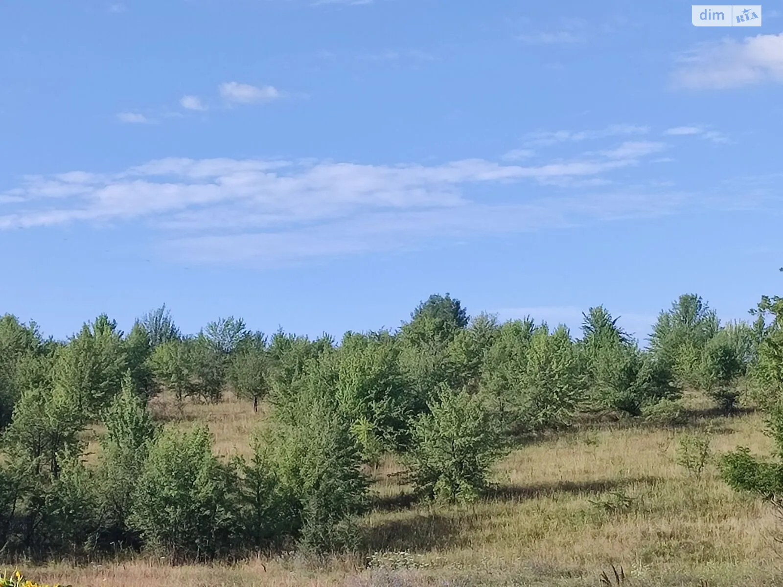 Здається в оренду земельна ділянка 4.5 соток у Вінницькій області, цена: 9902 грн - фото 1