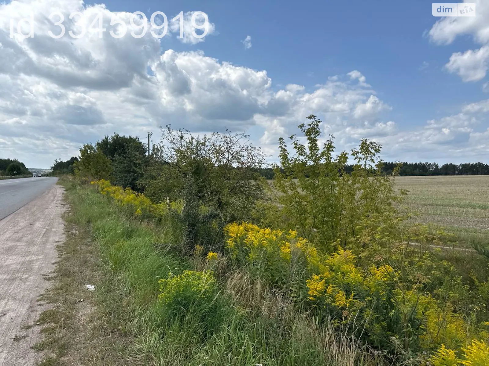 Станишовка, цена: 40000000 грн - фото 1