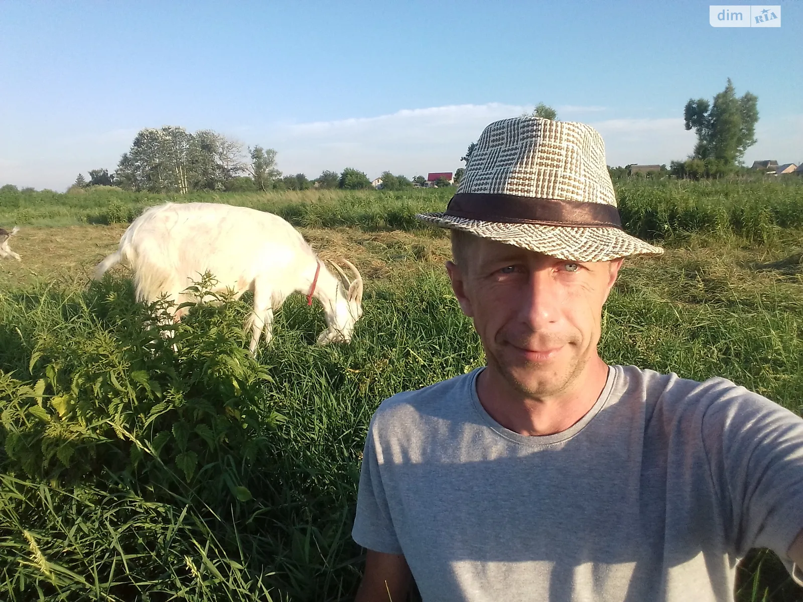 Продается земельный участок 12 соток в Киевской области, цена: 3000 $ - фото 1