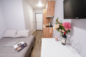 Аренда посуточная квартиры, Киев, р‑н. Соломенский, ст.м. Вокзальная, Карела Чапека (Юлиуса Фучика) улица, дом 7