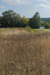 Продажа участка под жилую застройку, Винницкая, Сокиринцы, вулиця Незалежності