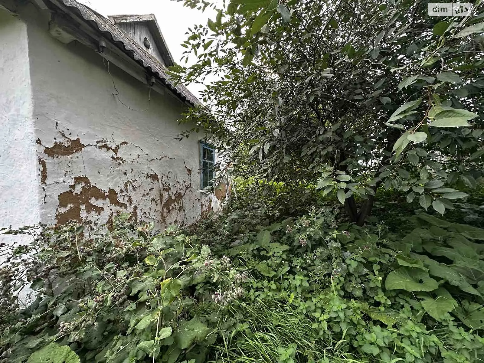 ул. Центральная(Ленина) Щербаки, цена: 10000 $ - фото 1