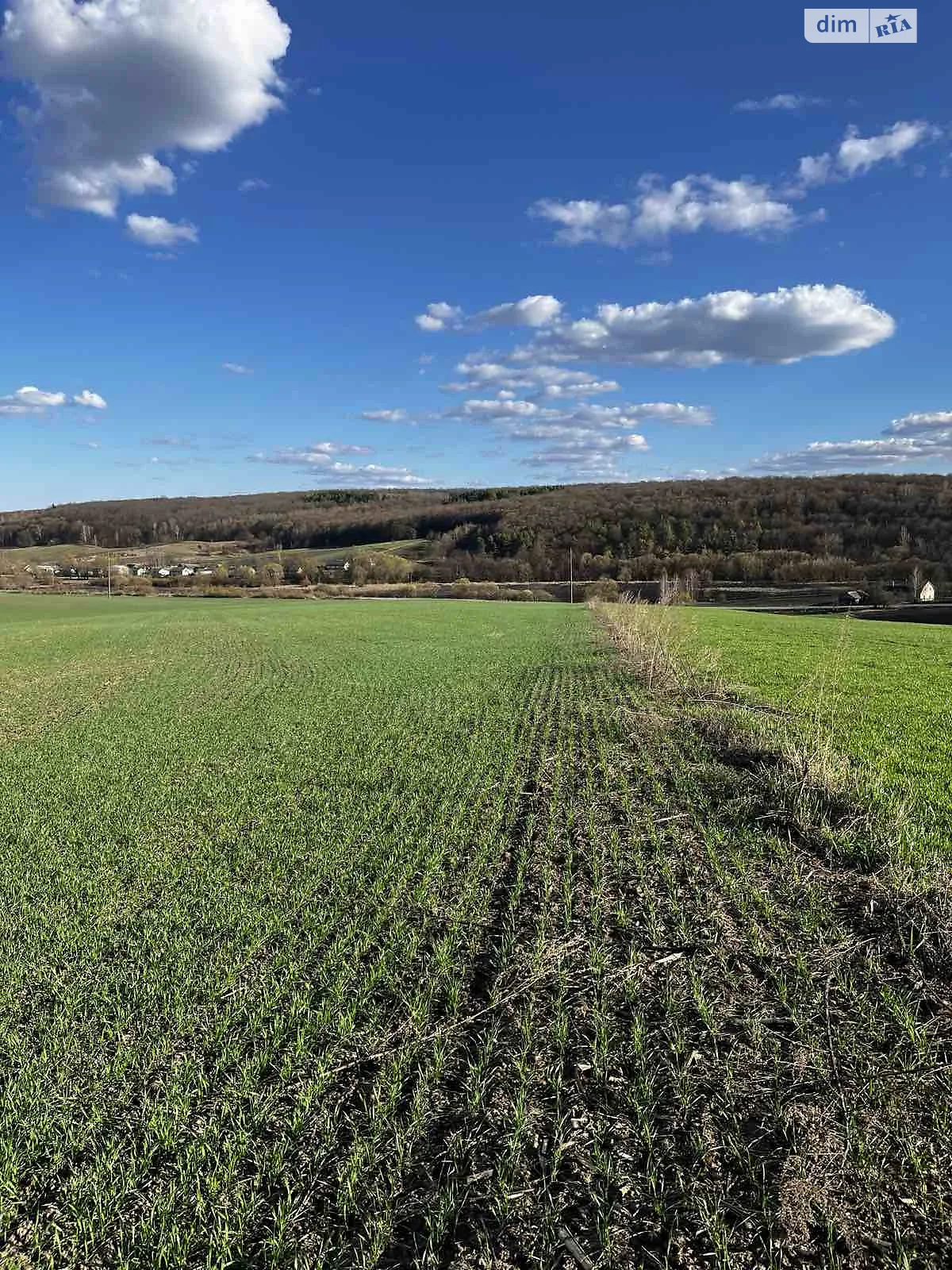 Сдается в аренду земельный участок 0.7935 соток в Тернопольской области, цена: 12696 грн - фото 1