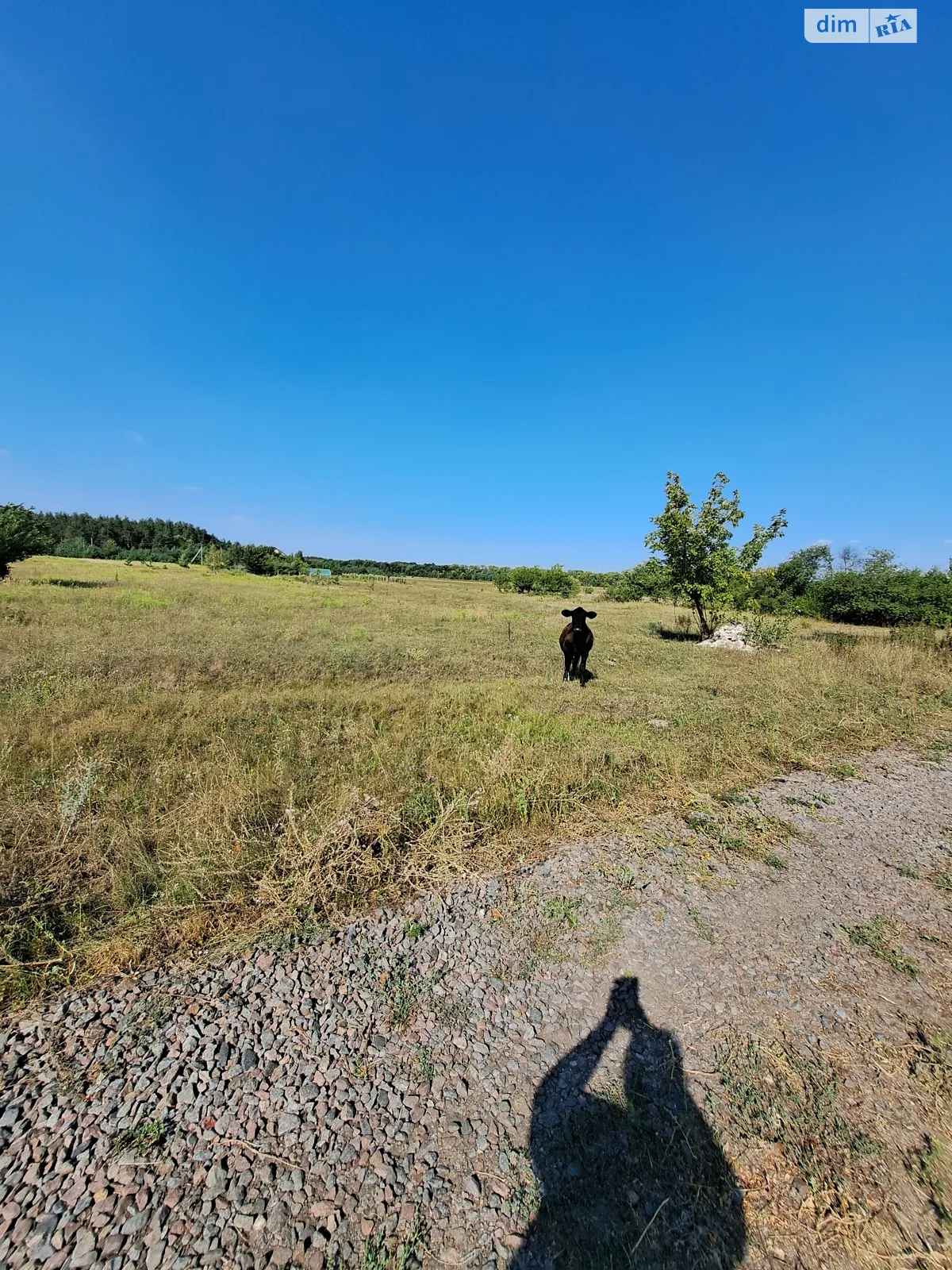 Продається земельна ділянка 24.87 соток у Полтавській області, цена: 15000 $ - фото 1