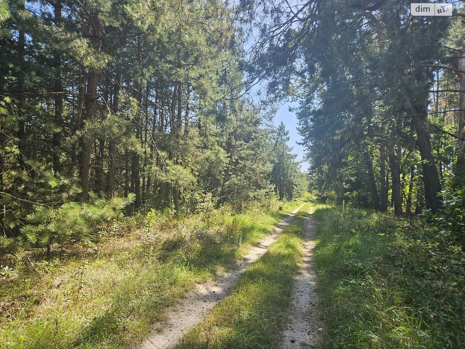 Продается земельный участок 15 соток в Киевской области, цена: 18000 $ - фото 1