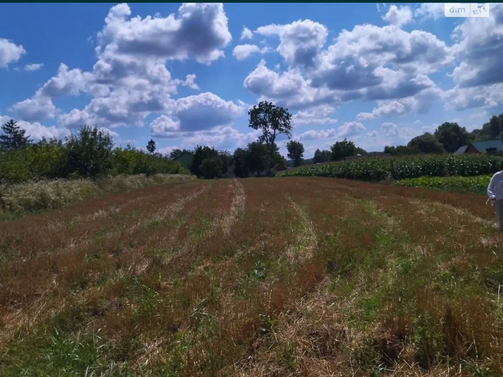 ул. Центральная(Ленина) Ружичанка, цена: 12500 $ - фото 1