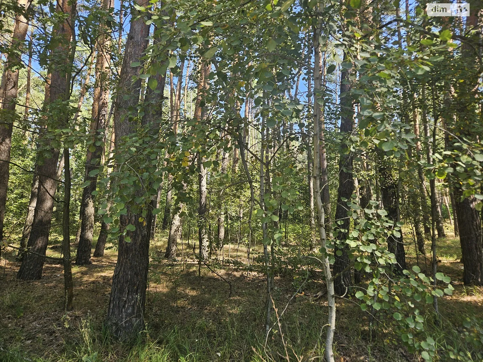 Продается земельный участок 20 соток в Киевской области, цена: 23000 $ - фото 1