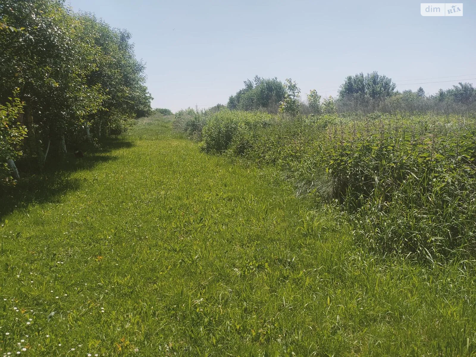 Продается земельный участок 9.64 соток в Львовской области, цена: 25900 $ - фото 1