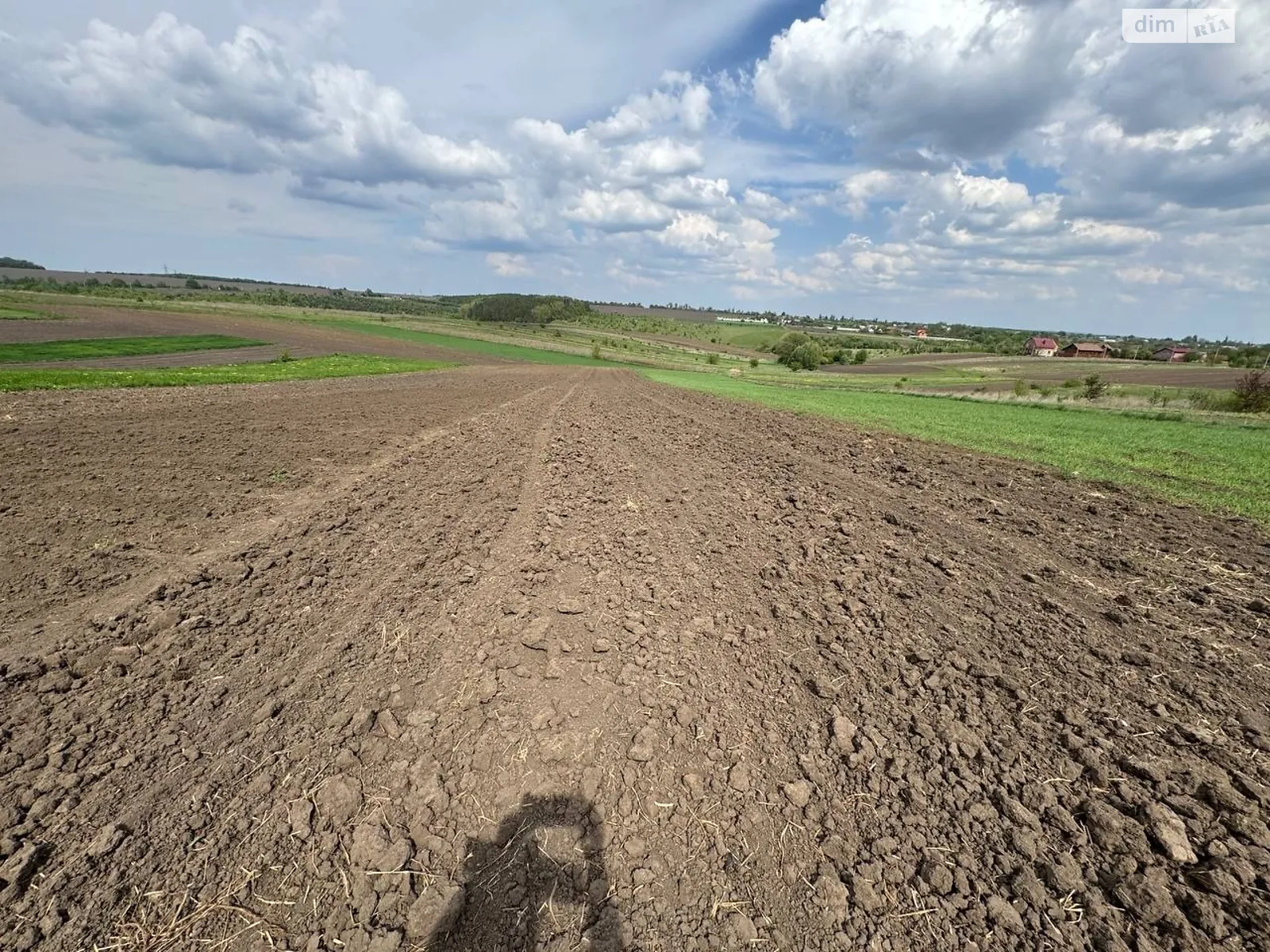Ружичанка, цена: 5000 $ - фото 1