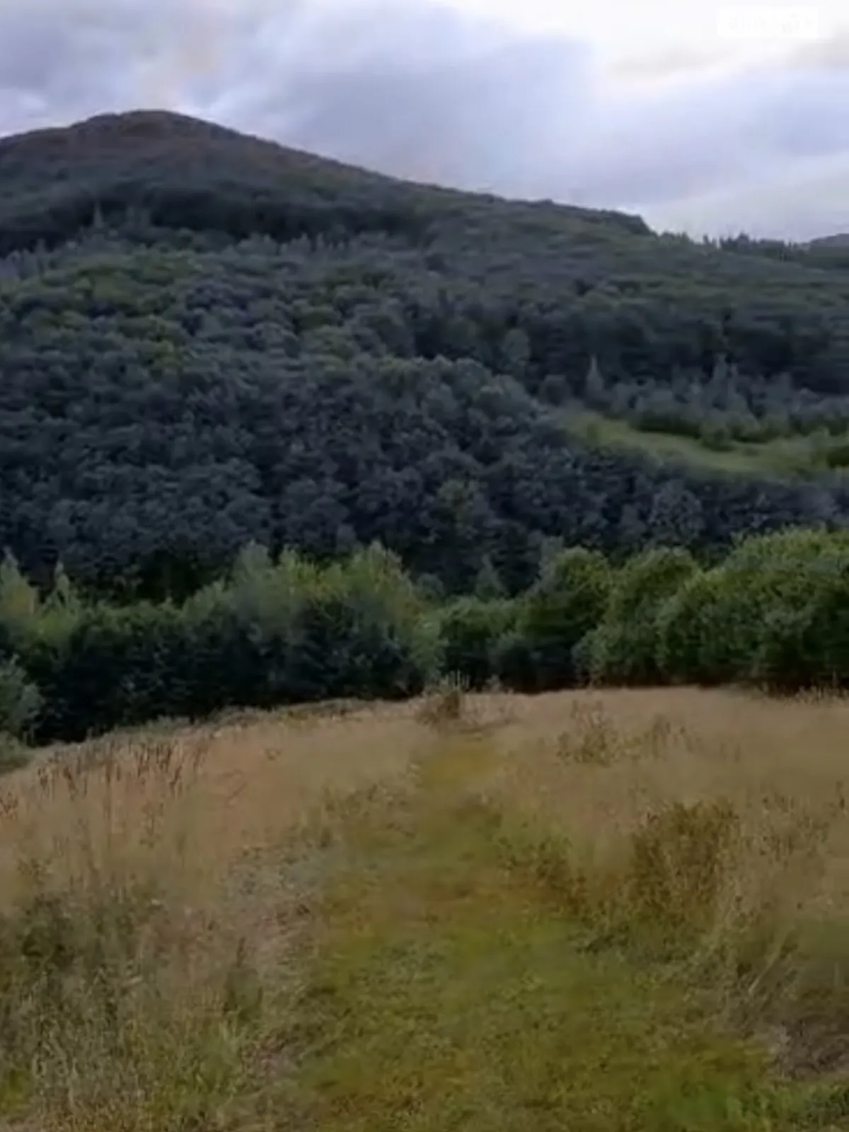 Продається земельна ділянка 71.71 соток у Івано-Франківській області, цена: 187000 $ - фото 1