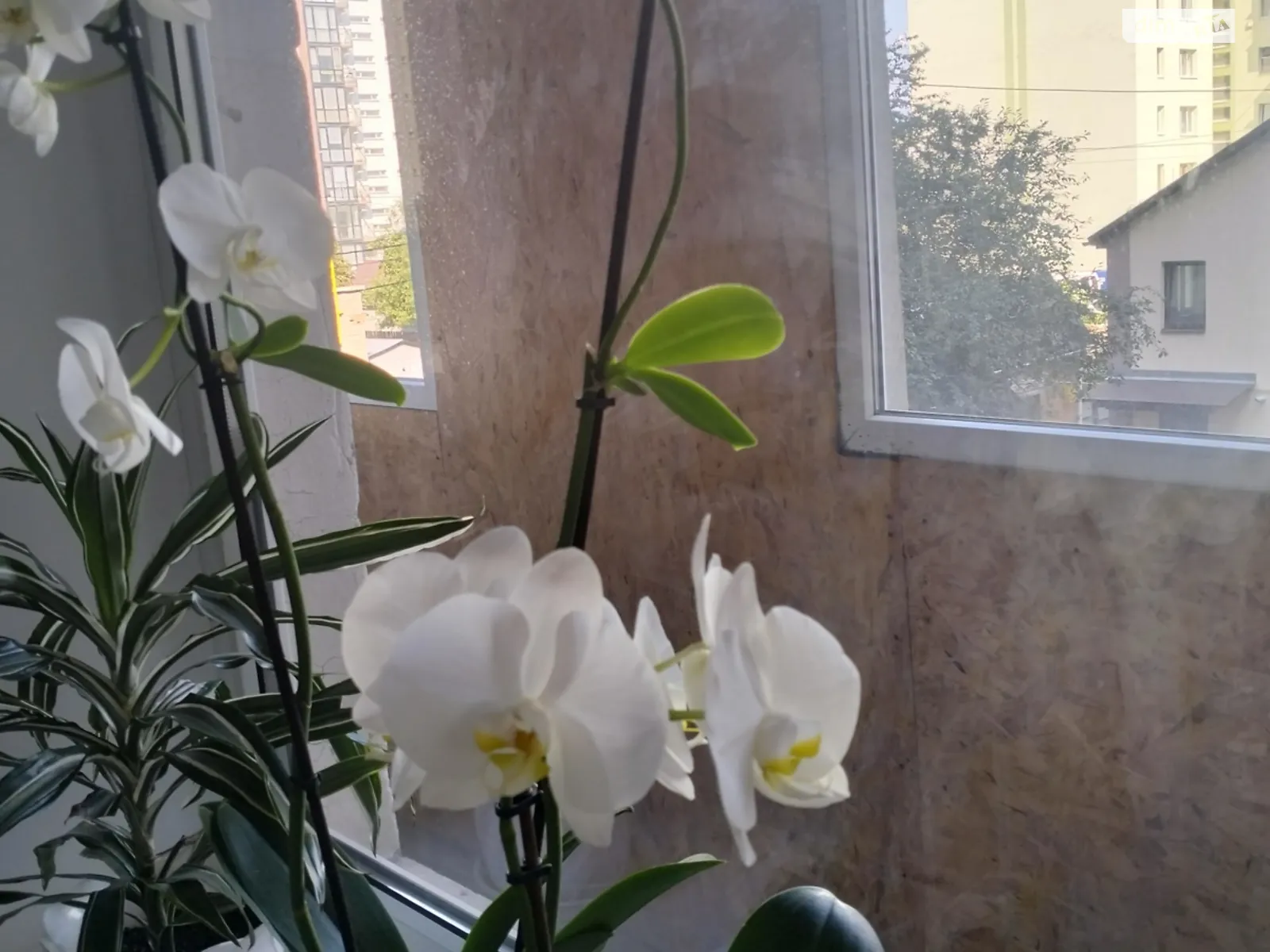 Продається 3-кімнатна квартира 65.9 кв. м у Вінниці, цена: 70000 $ - фото 1