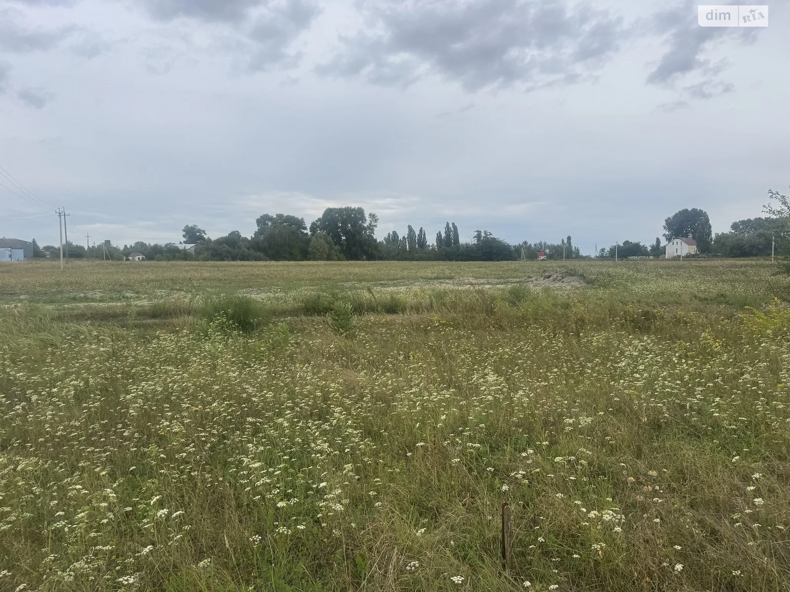 Продается земельный участок 15.96 соток в Киевской области, цена: 11000 $ - фото 1