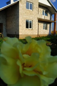 Продажа дома, Тернопольская, Великие Гаи, Шевченко улица