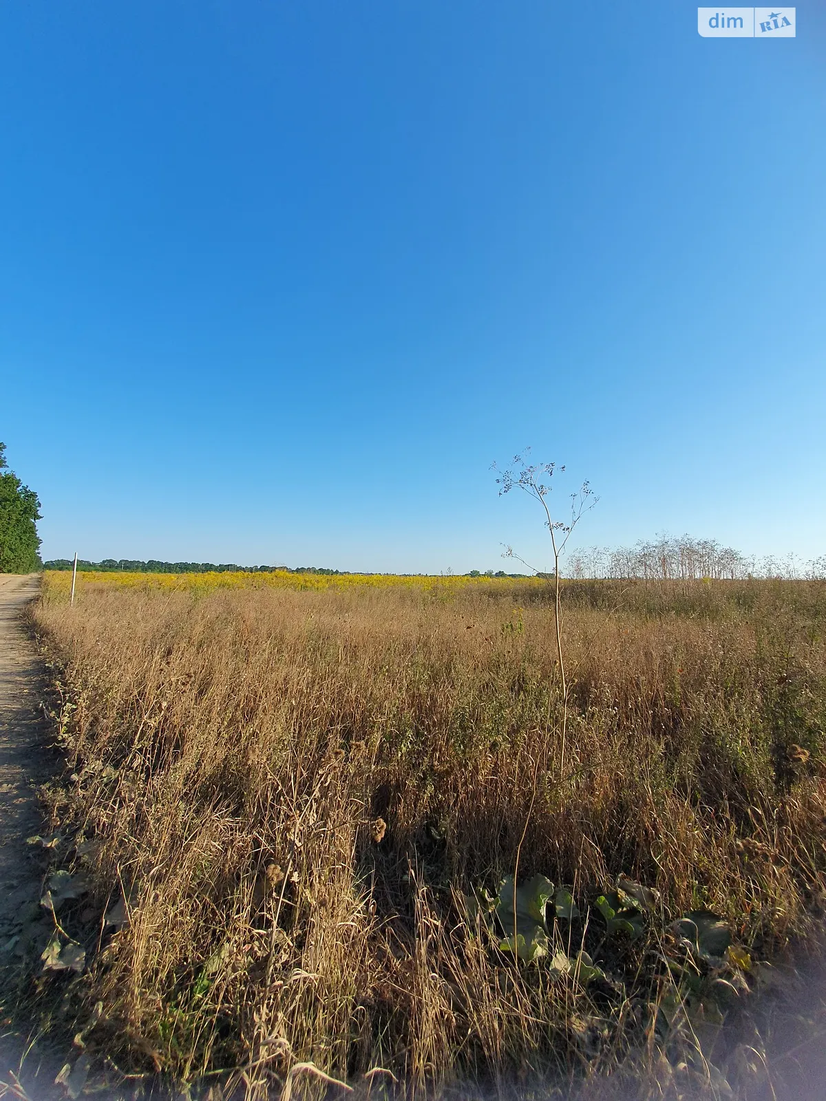 Продается земельный участок 6 соток в Винницкой области, цена: 17500 $ - фото 1