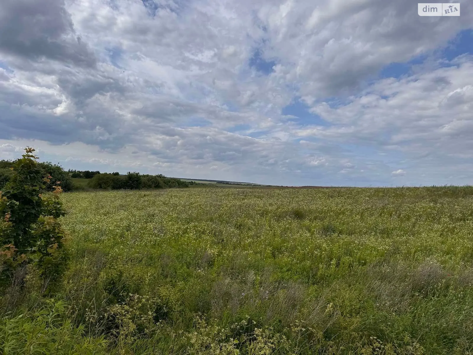Сдается в аренду земельный участок 0.8 соток в области, цена: 54276 грн - фото 1