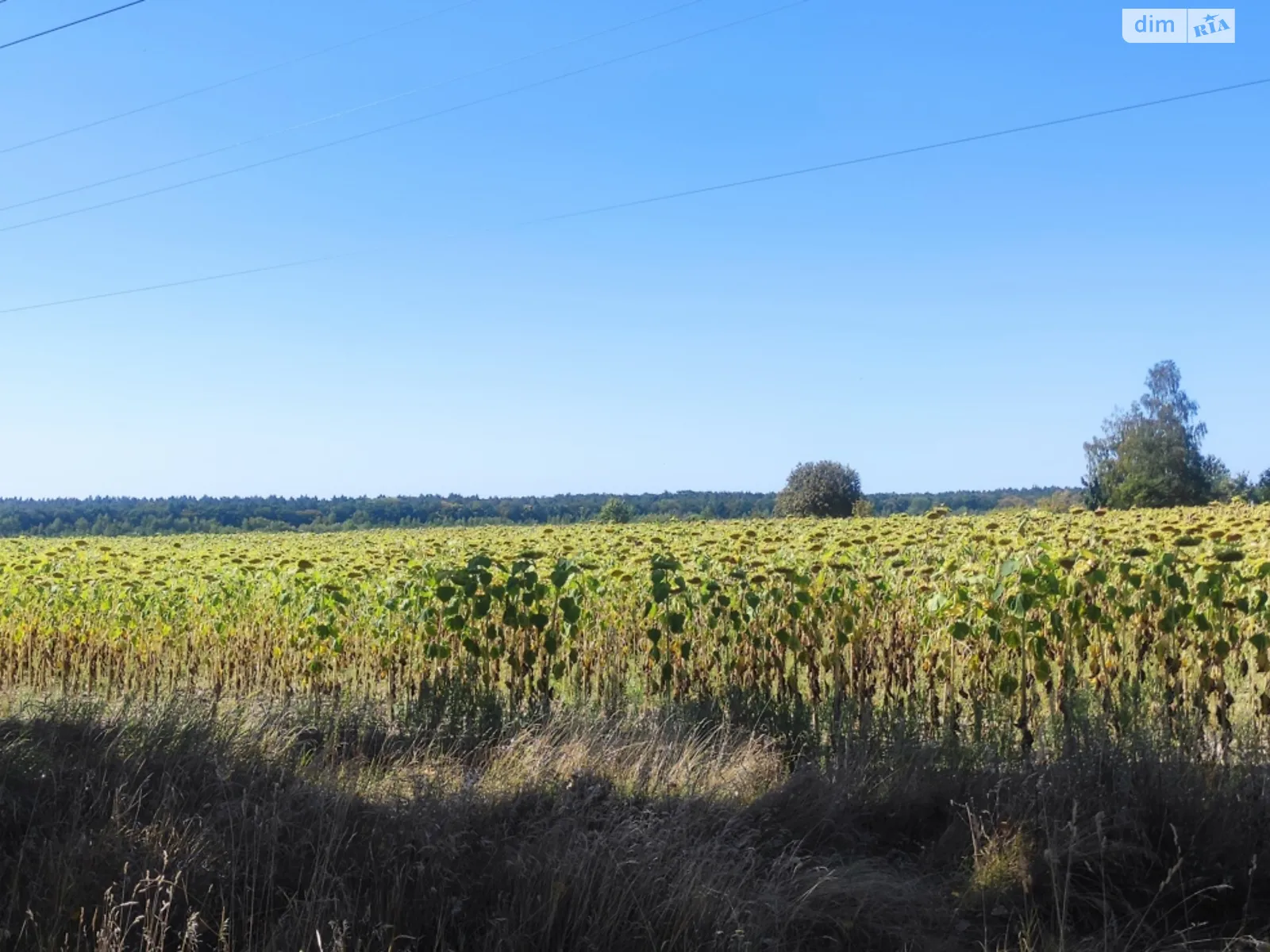 Продается земельный участок 12 соток в Винницкой области, цена: 8500 $ - фото 1