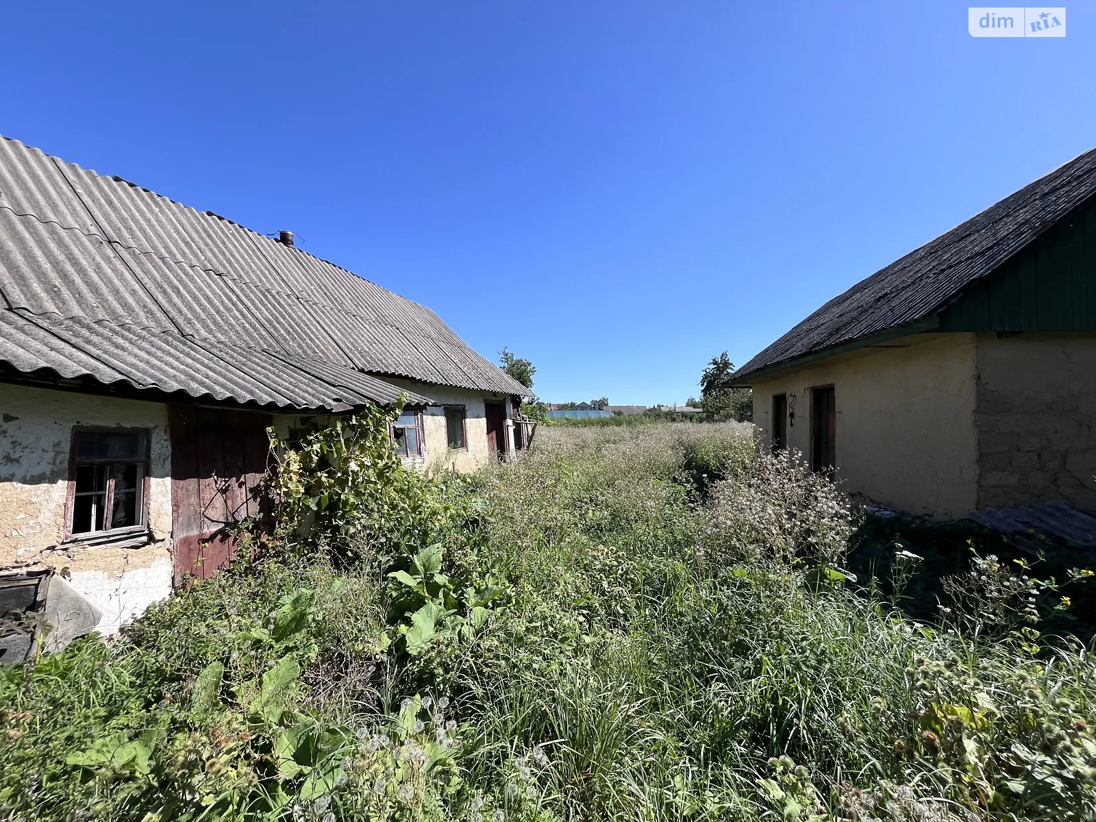 Продается земельный участок 12 соток в Винницкой области, цена: 43000 $ - фото 1