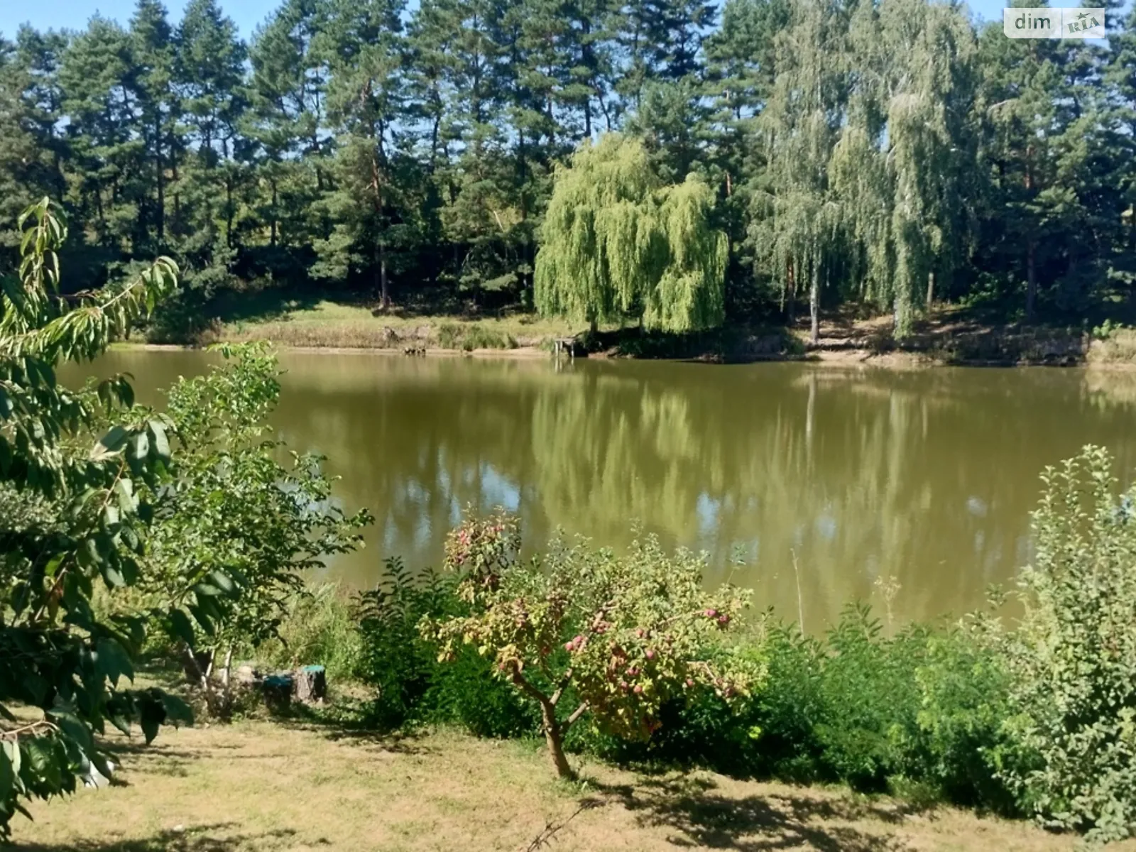 ул. Лесная, 1 Писаревка (Винница), цена: 350000 $ - фото 1