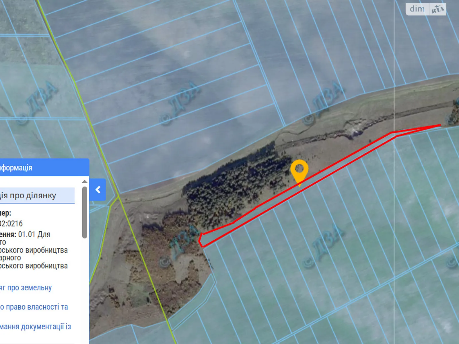 Білоголови, цена: 19728 грн - фото 1