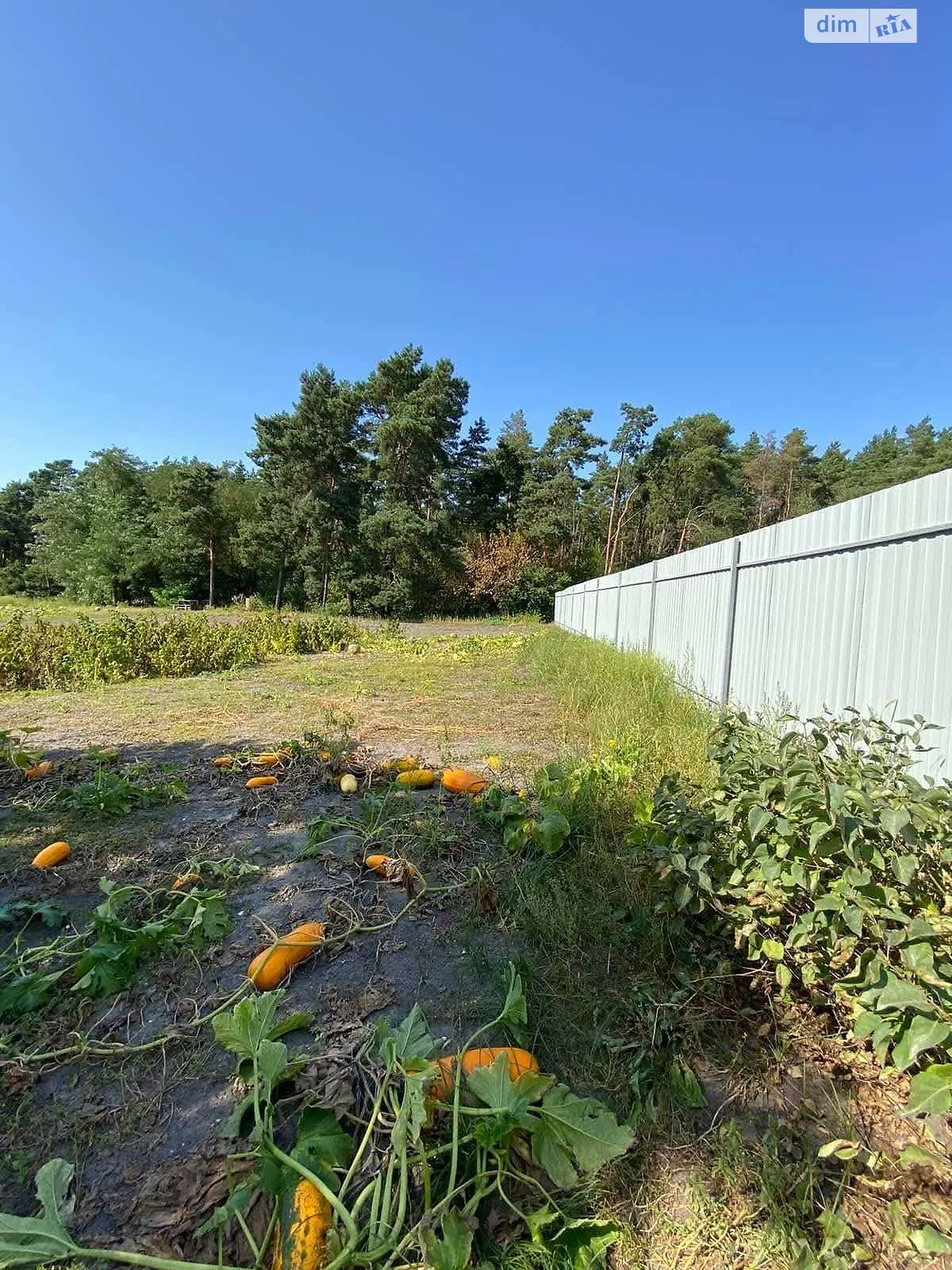 Продается земельный участок 11.06 соток в Тернопольской области, цена: 4000 $ - фото 1