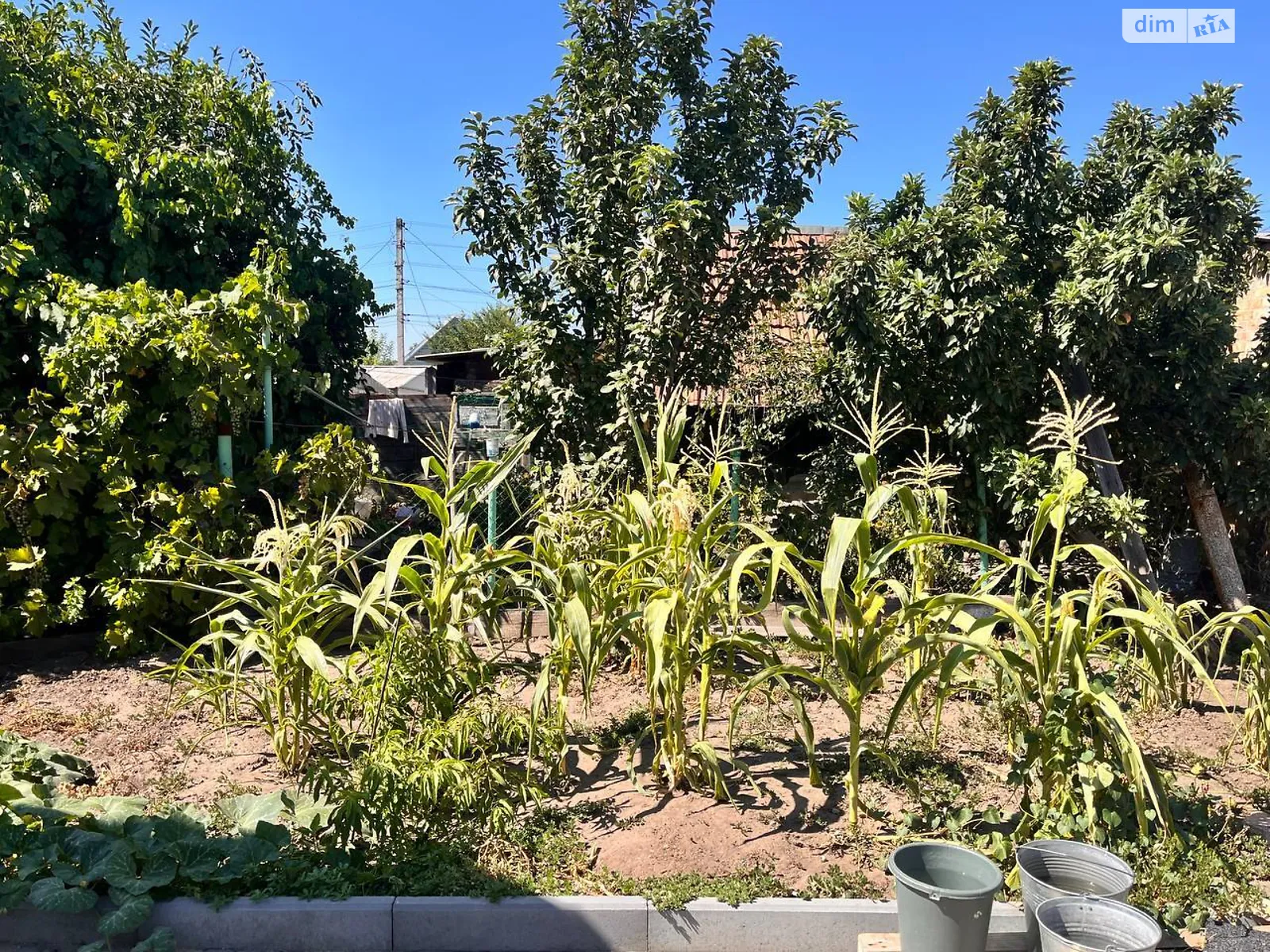 Продается одноэтажный дом 54 кв. м с верандой, цена: 26000 $ - фото 1